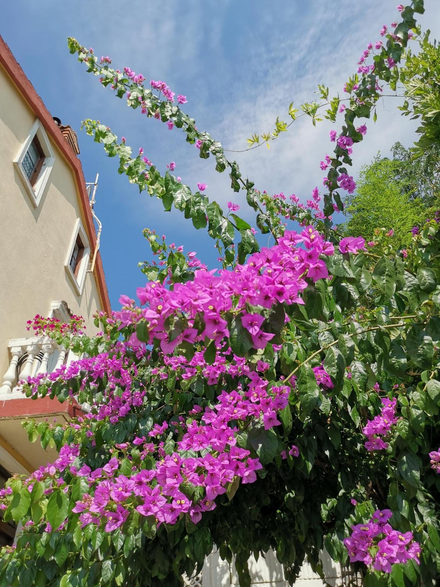 Ginko House Appartement Opatija Buitenkant foto